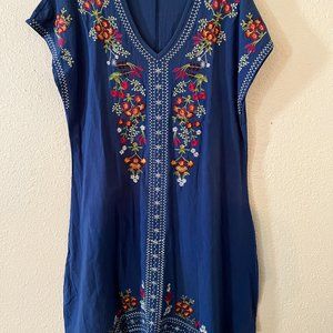 Brilliantly Embroidered Dress